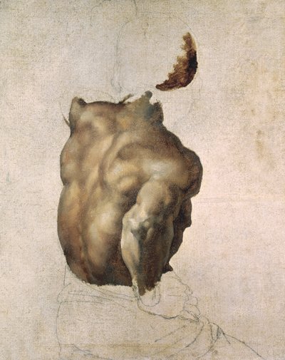 Study of a Torso for The Raft of the Medusa, 1818 by Theodore Gericault